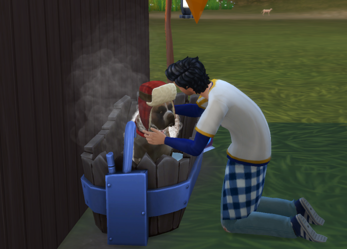 rusty trying to bathe all the dogs.png